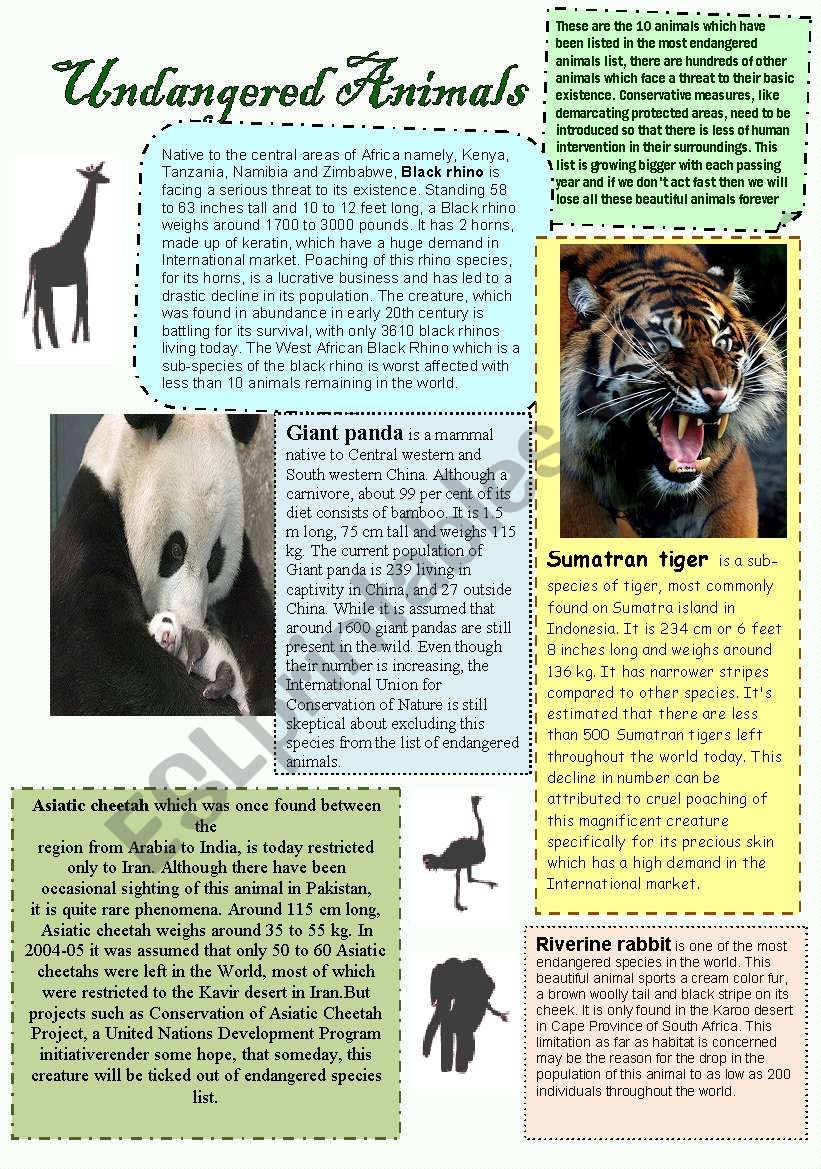 Undangered animals worksheet