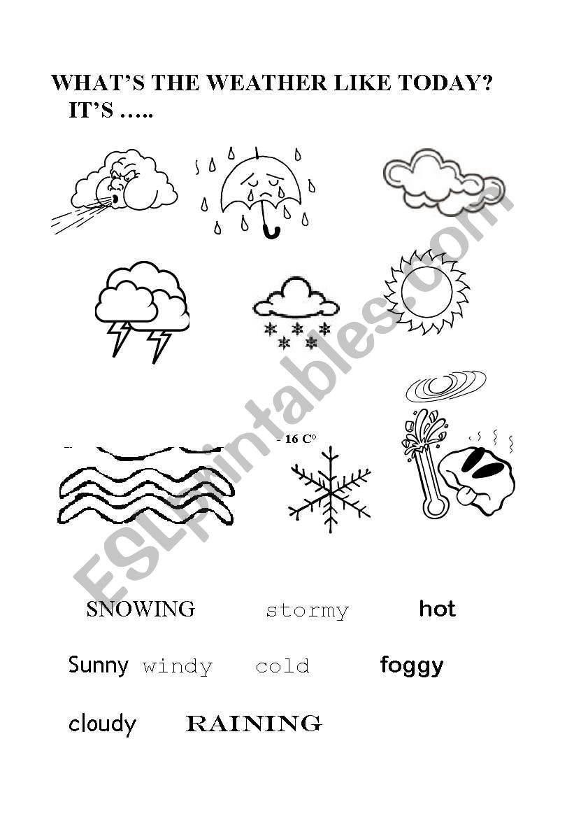 Weather worksheet