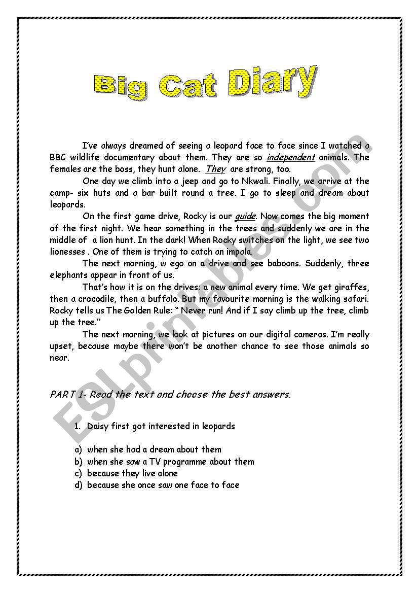 The Big Cat worksheet