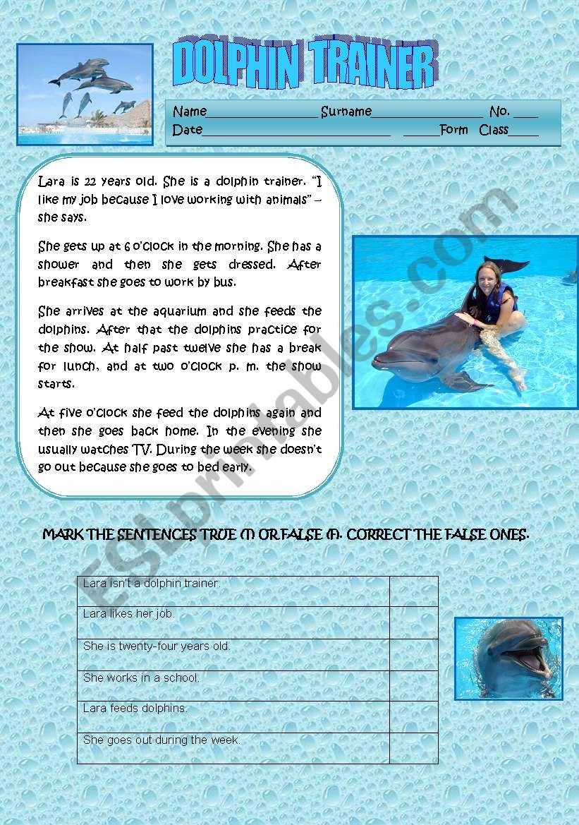 A DOLPHIN TRAINER worksheet