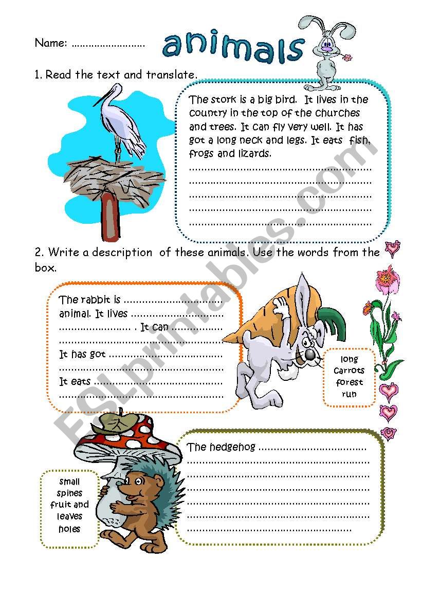 WRITING ABOUT ANIMALS worksheet