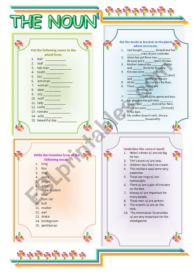 The Noun worksheet