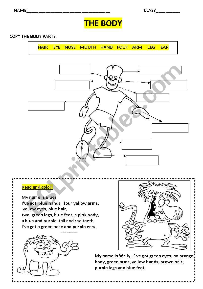 the body 2 worksheet