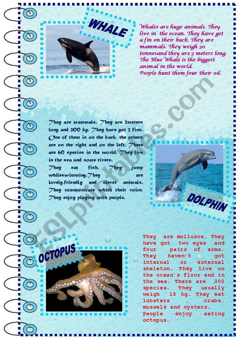 FACTS ABOUT ANIMALS SET (sea animals 1) - ESL worksheet by nergisumay