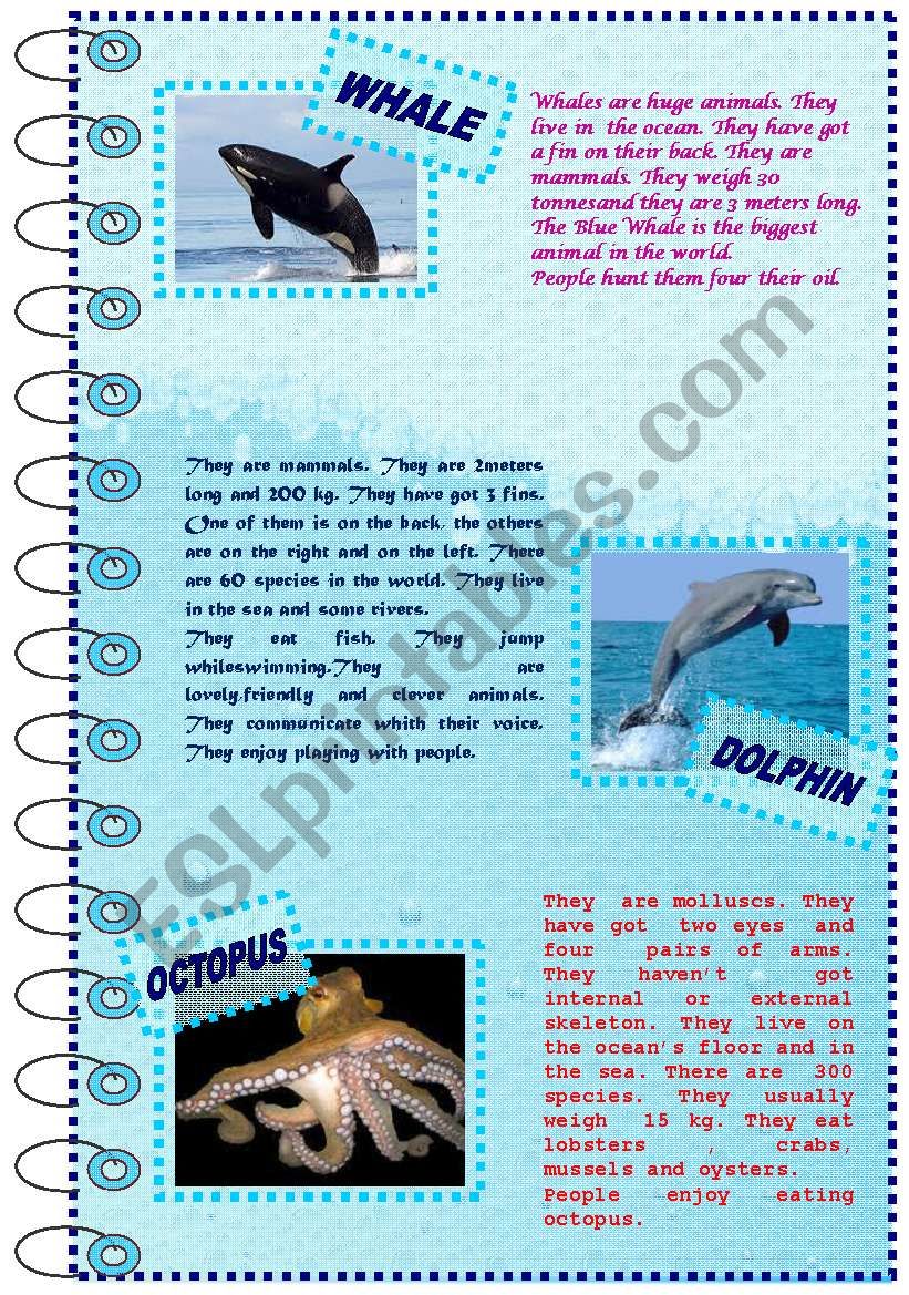 FACTS ABOUT ANIMALS SET (sea animals 1)