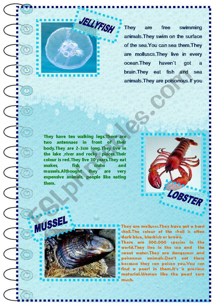FACTS ABOUT ANIMALS SET(sea animals 2)