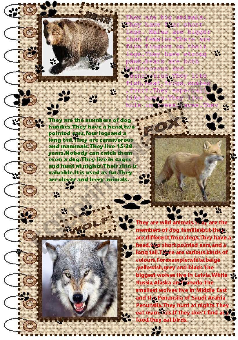 FACTS ABOUT ANIMALS SET (wild animals 1) - ESL worksheet by nergisumay