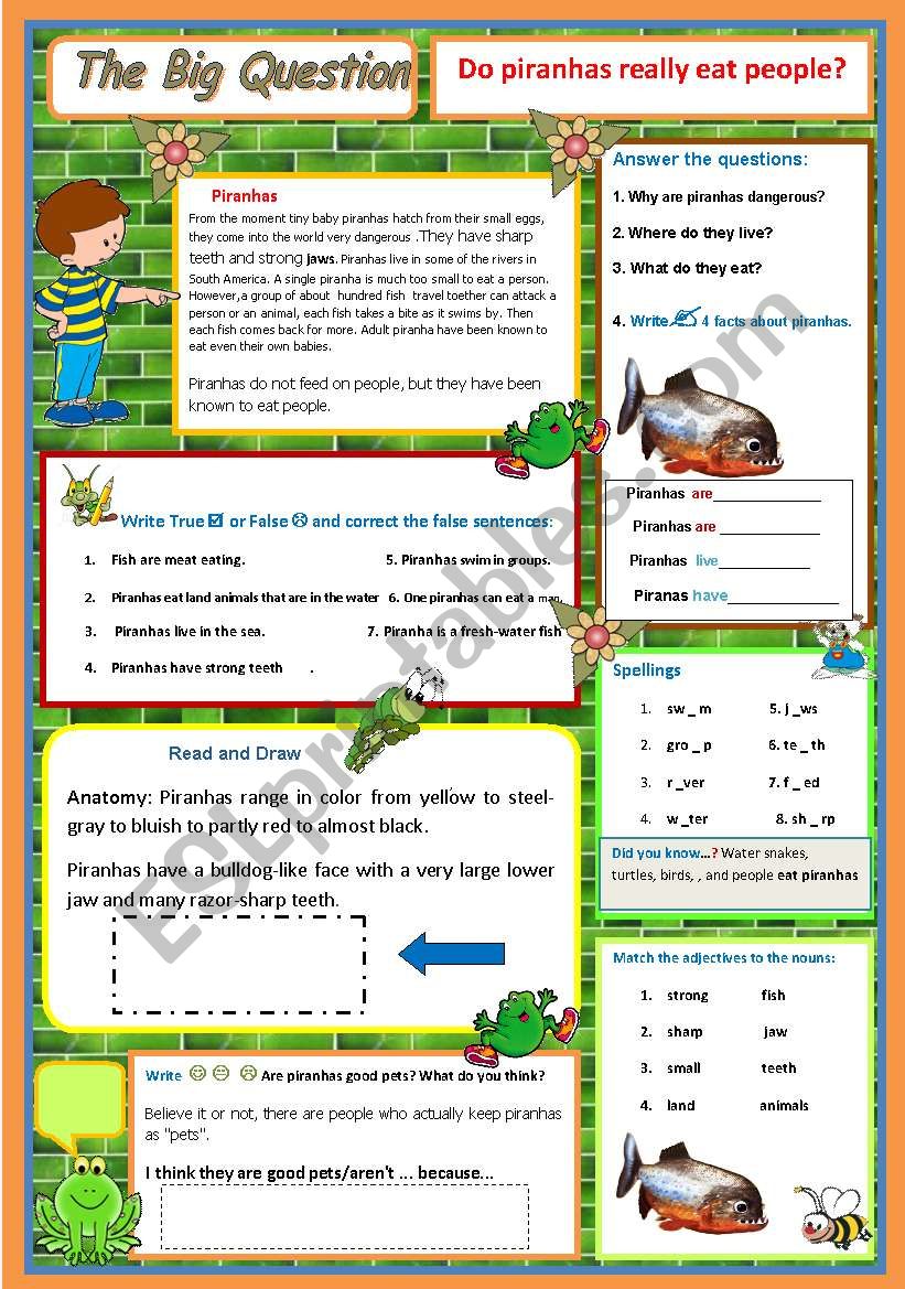  Do piranhas really eat people?   A science question   8