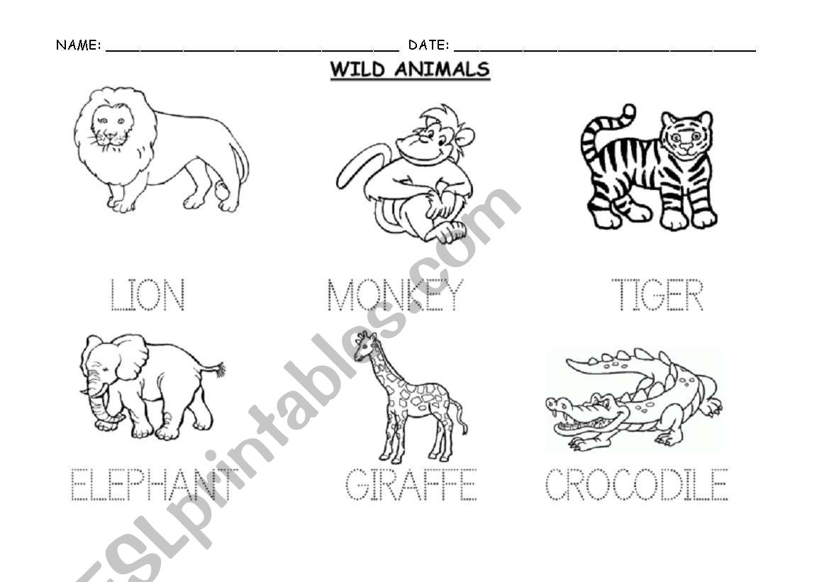 WILD ANIMALS worksheet