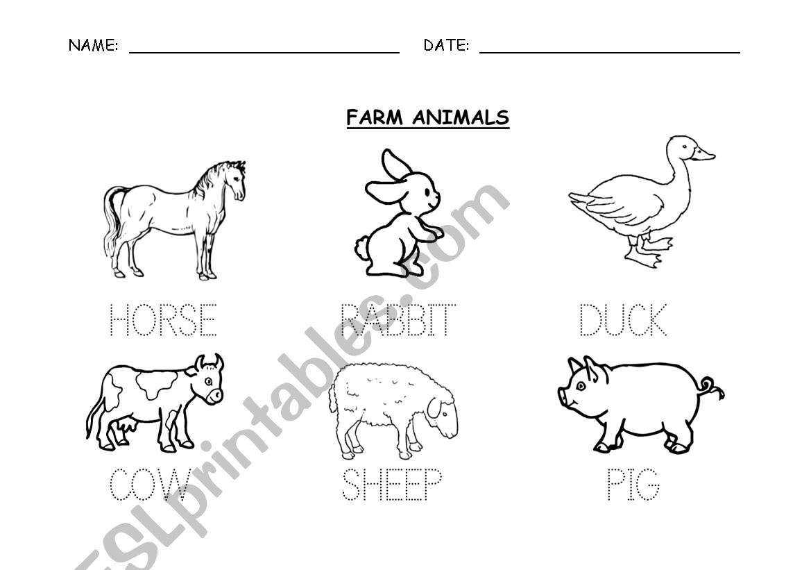 FARM ANIMALS worksheet