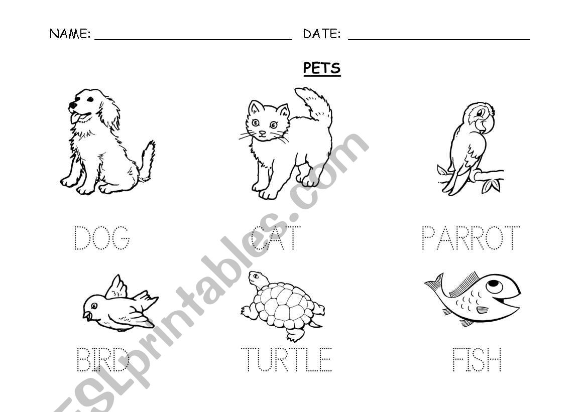 PETS worksheet