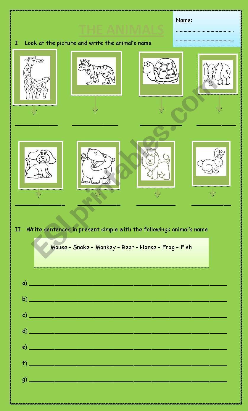 animals worksheet