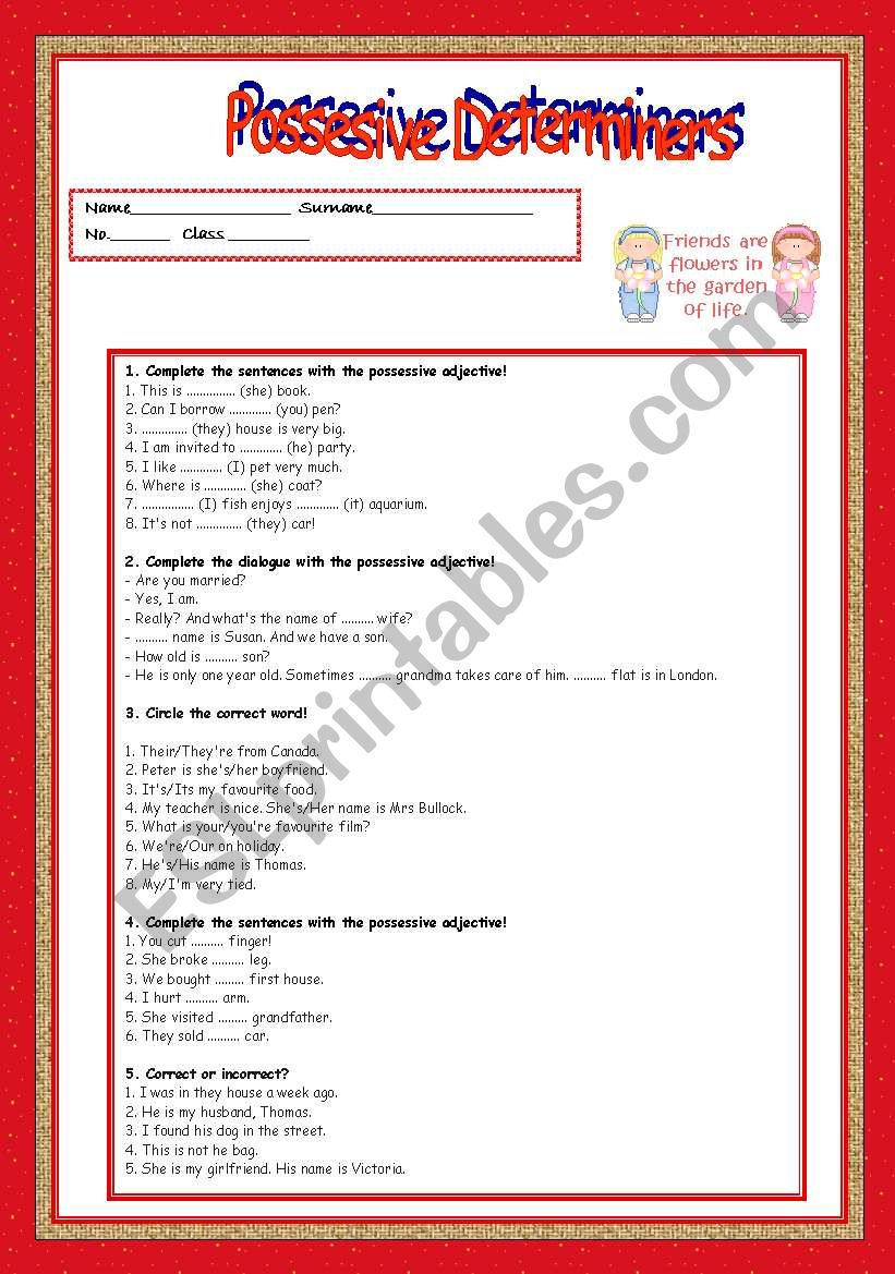 possesive determiners worksheet