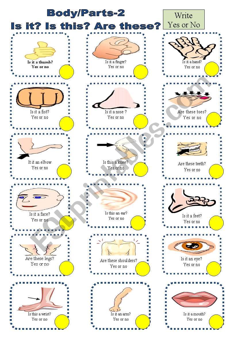 Body Parts  2 worksheet