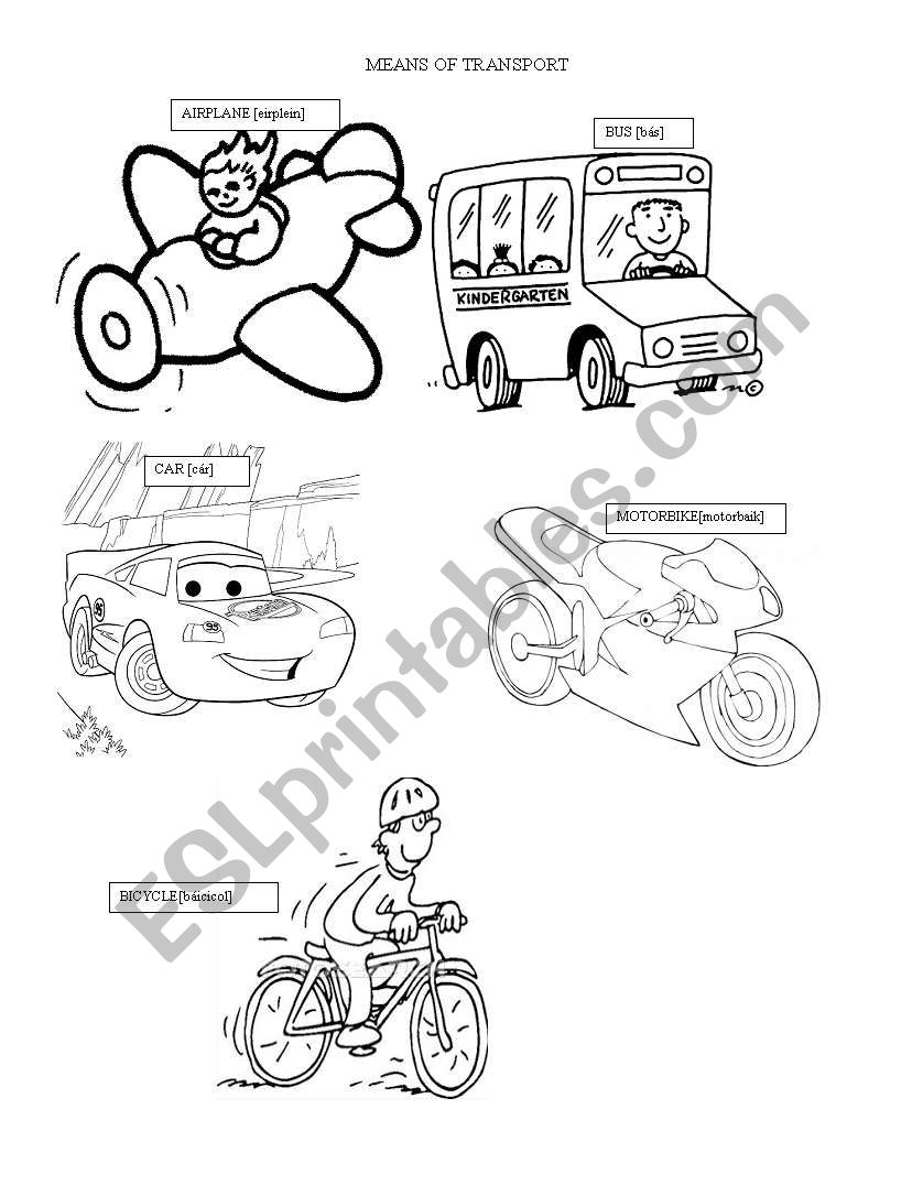 MEANS OF TRANSPORT worksheet