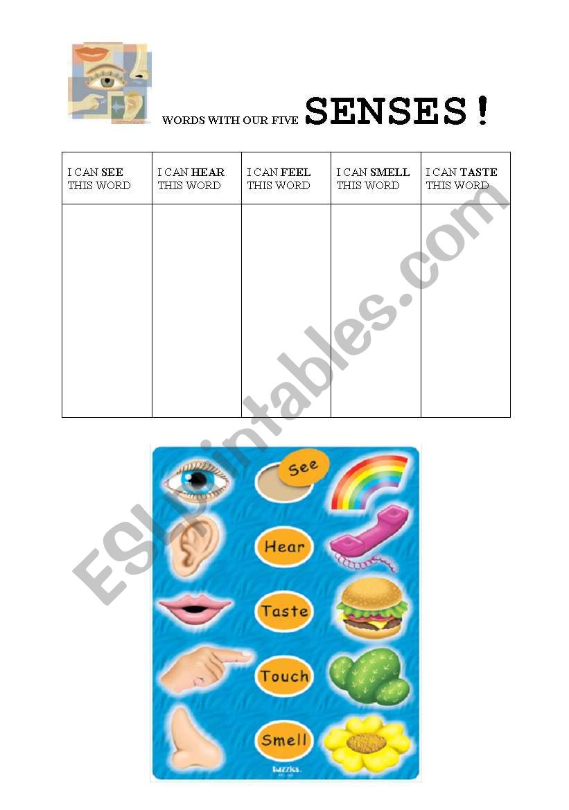 WORDS WITH OUR FIVE SENSES worksheet
