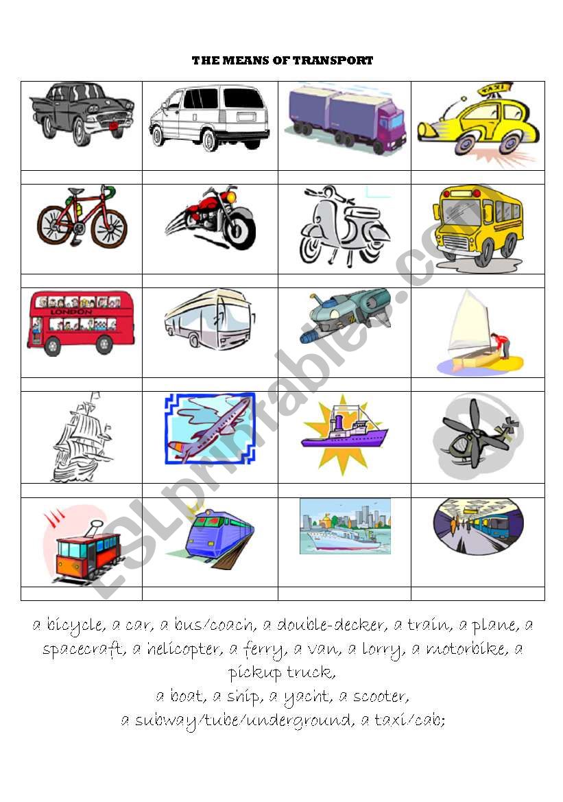 TRANSPORT worksheet