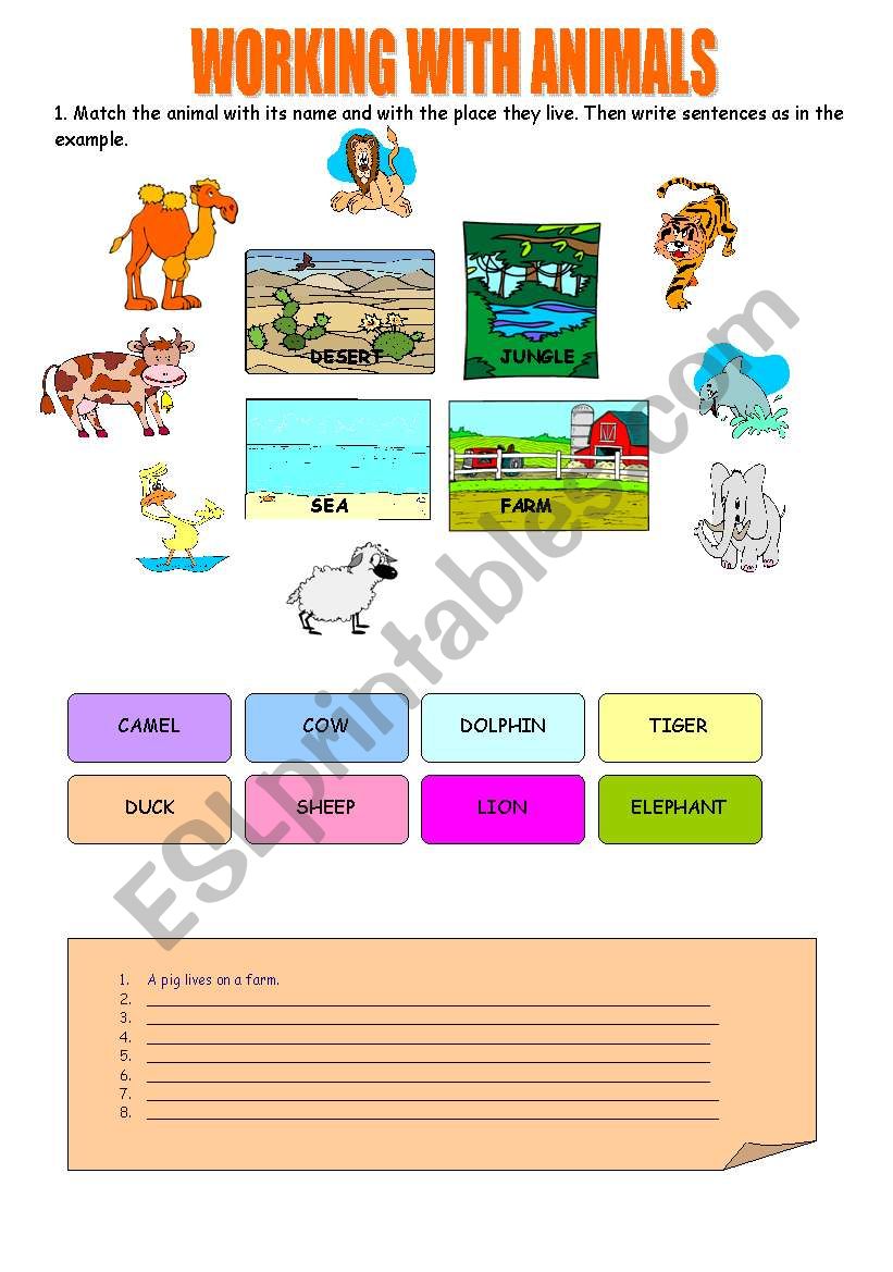 WORKING WITH ANIMALS worksheet