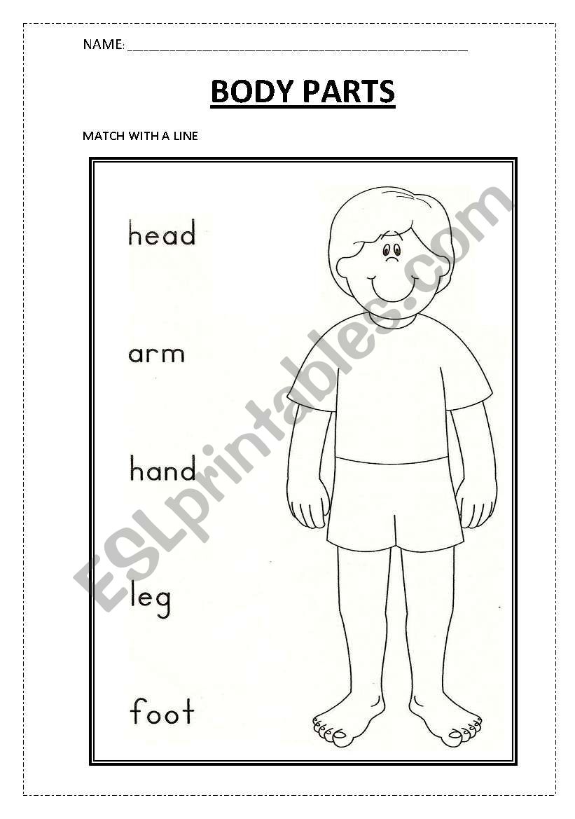 BODY PARTS worksheet