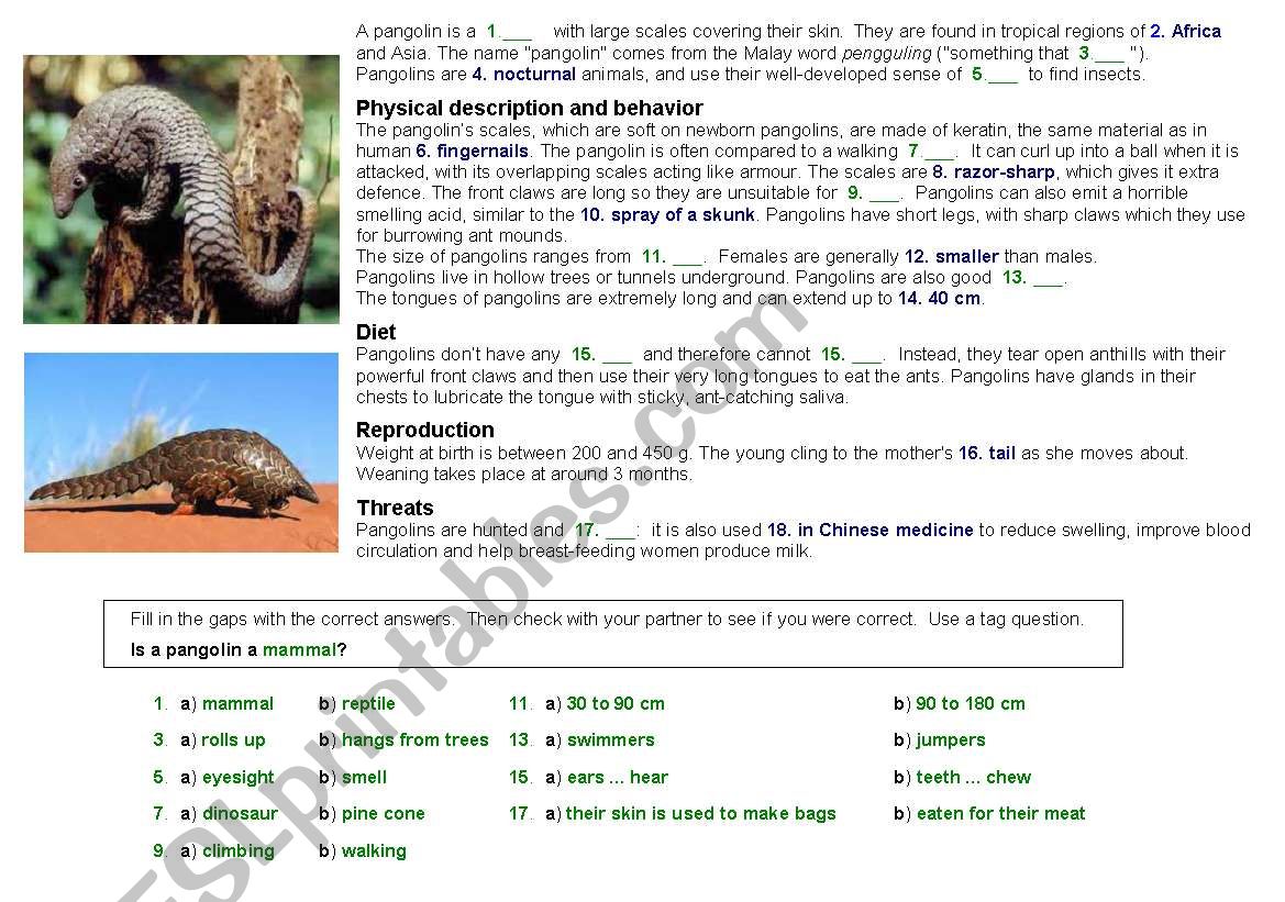 pangolins 2 (unusual animal) worksheet