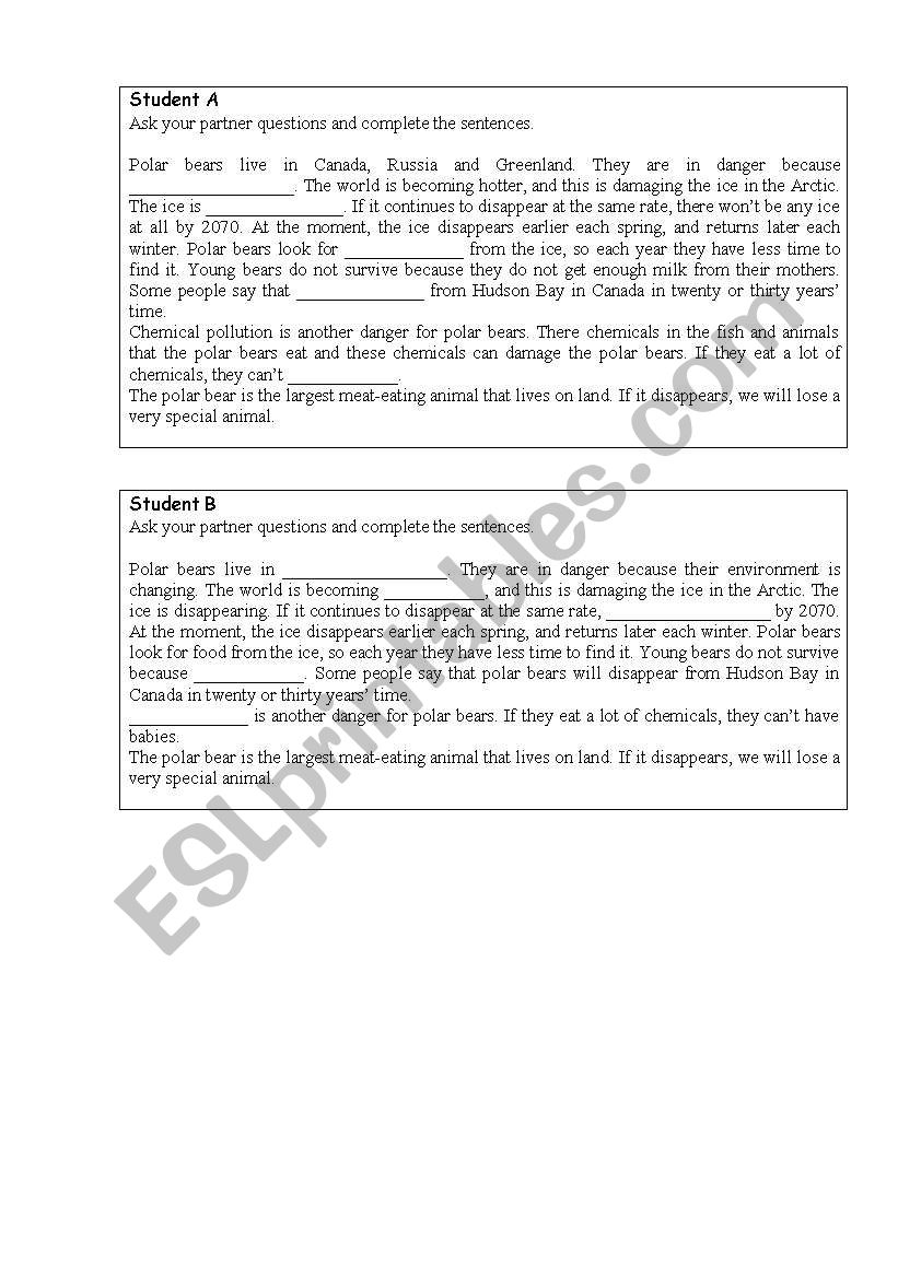 Pair work activity worksheet