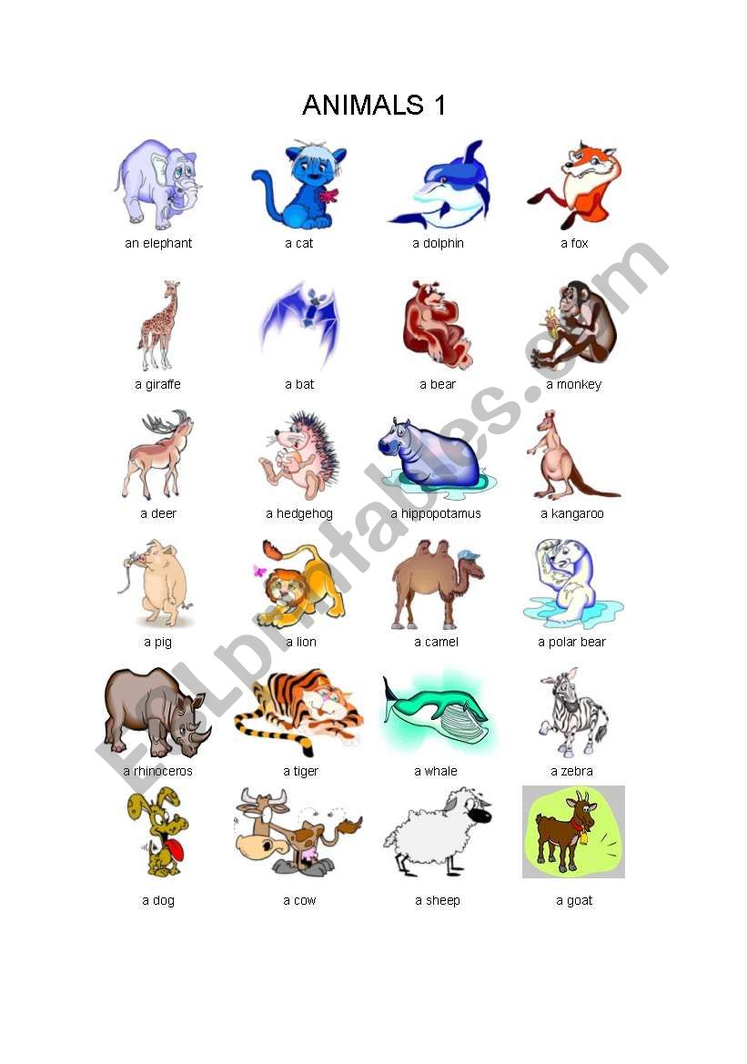 animals  worksheet