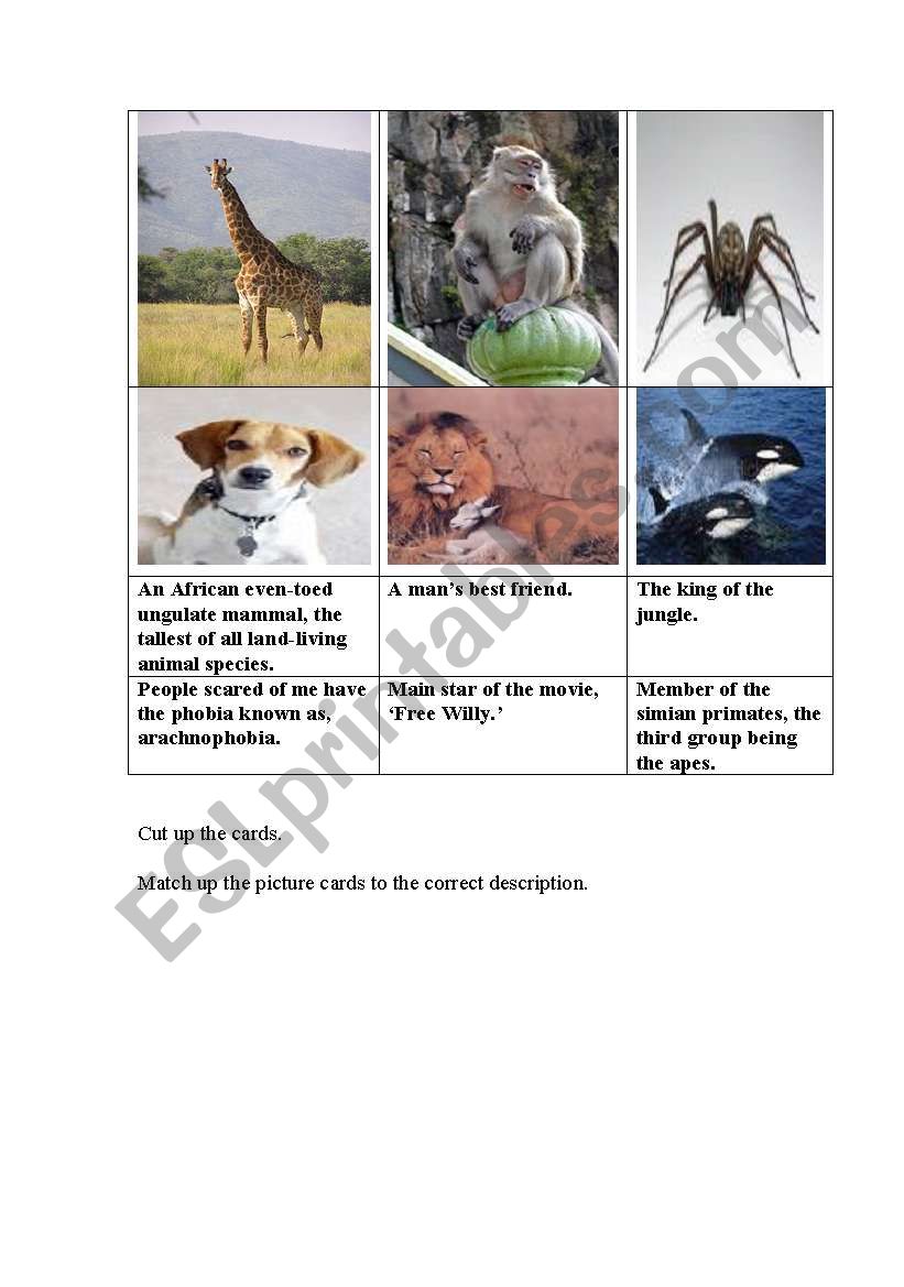 Animal descriptions worksheet