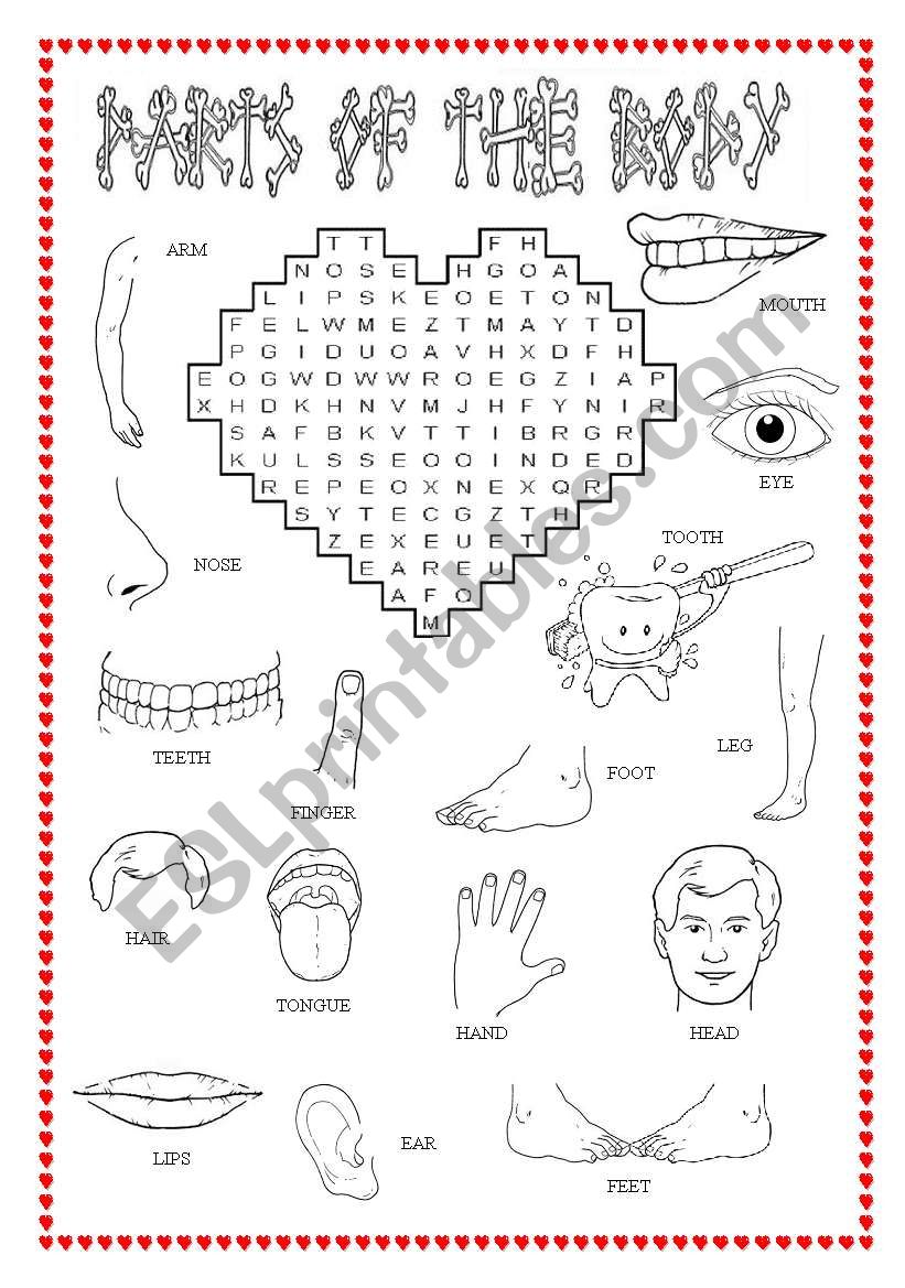 Parts of the body worksheet