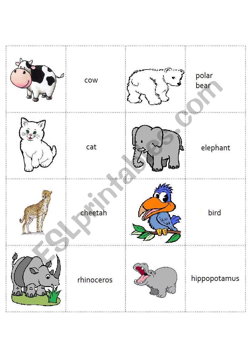 Animal flashcards 1 worksheet