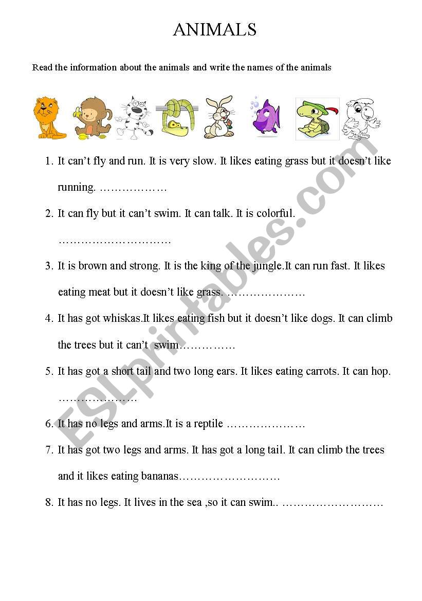 describing animals worksheet