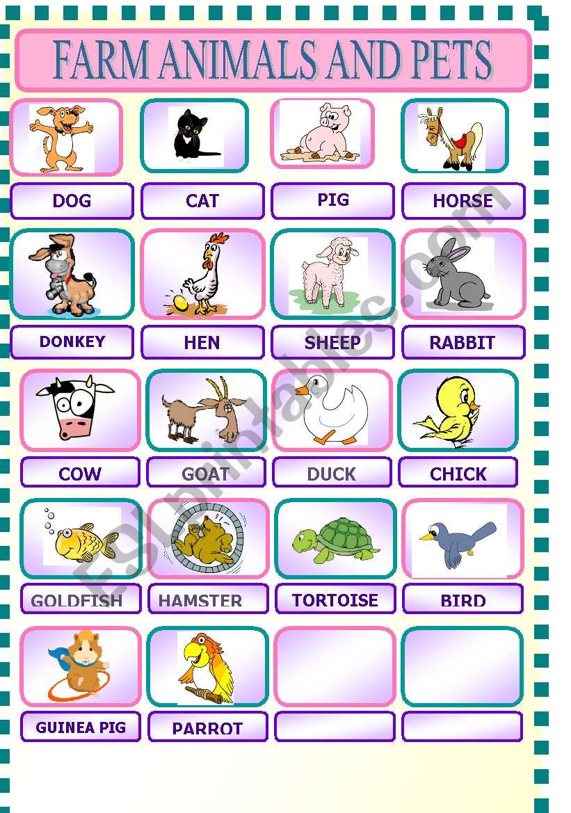 FARM ANIMALS AND PETS worksheet