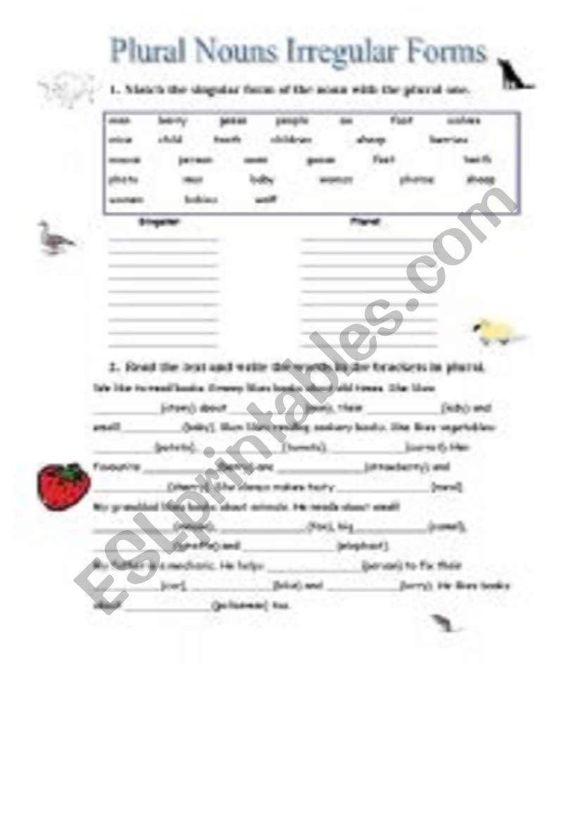 plural nouns  worksheet