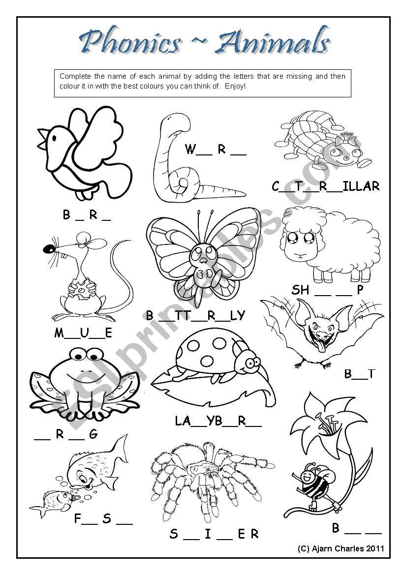 Phonics Animals worksheet