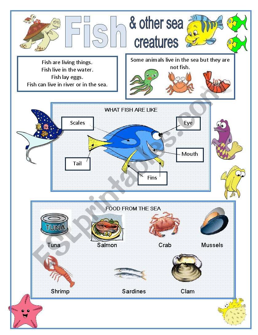 Fish and other sea creatures worksheet