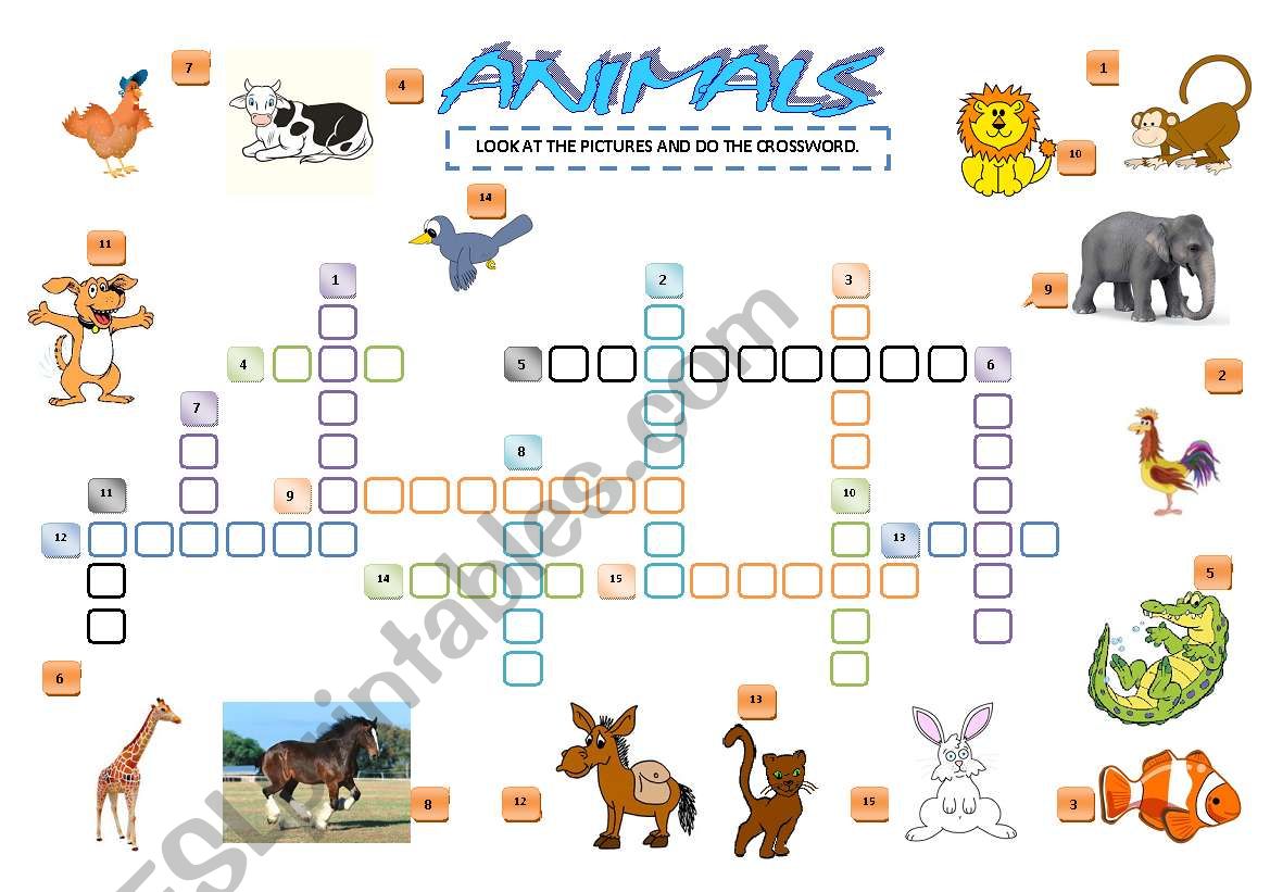 ANIMALS worksheet