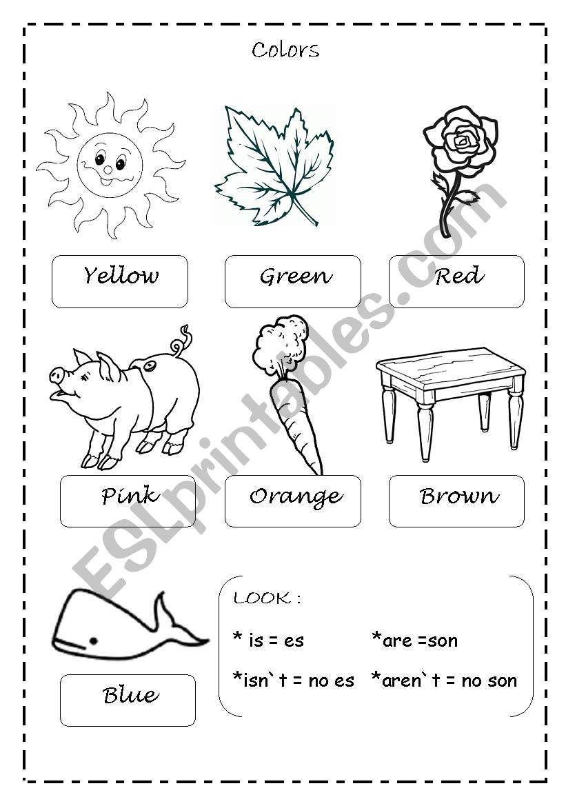 Colors worksheet