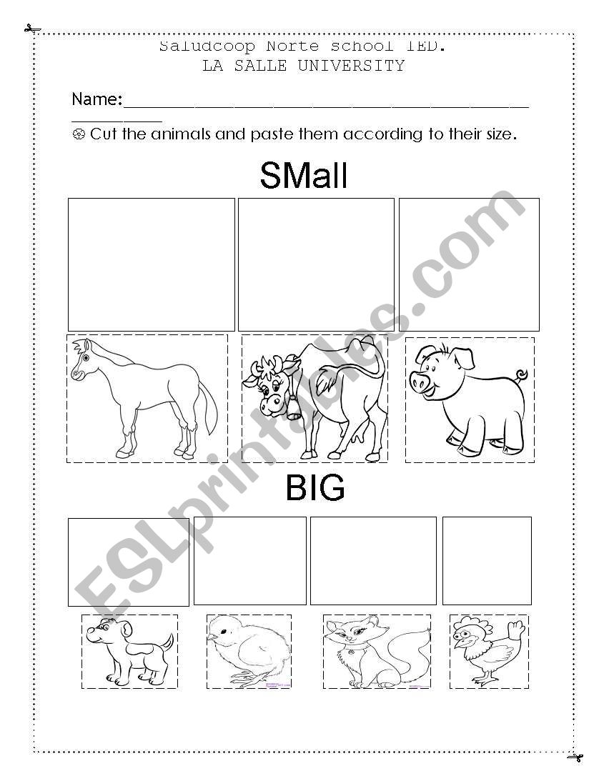 Sizes worksheet