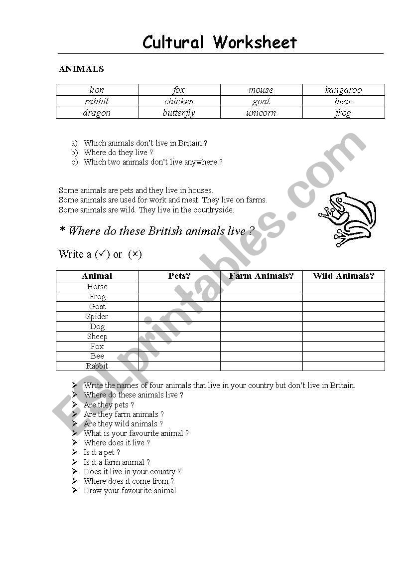 cultural worksheet worksheet