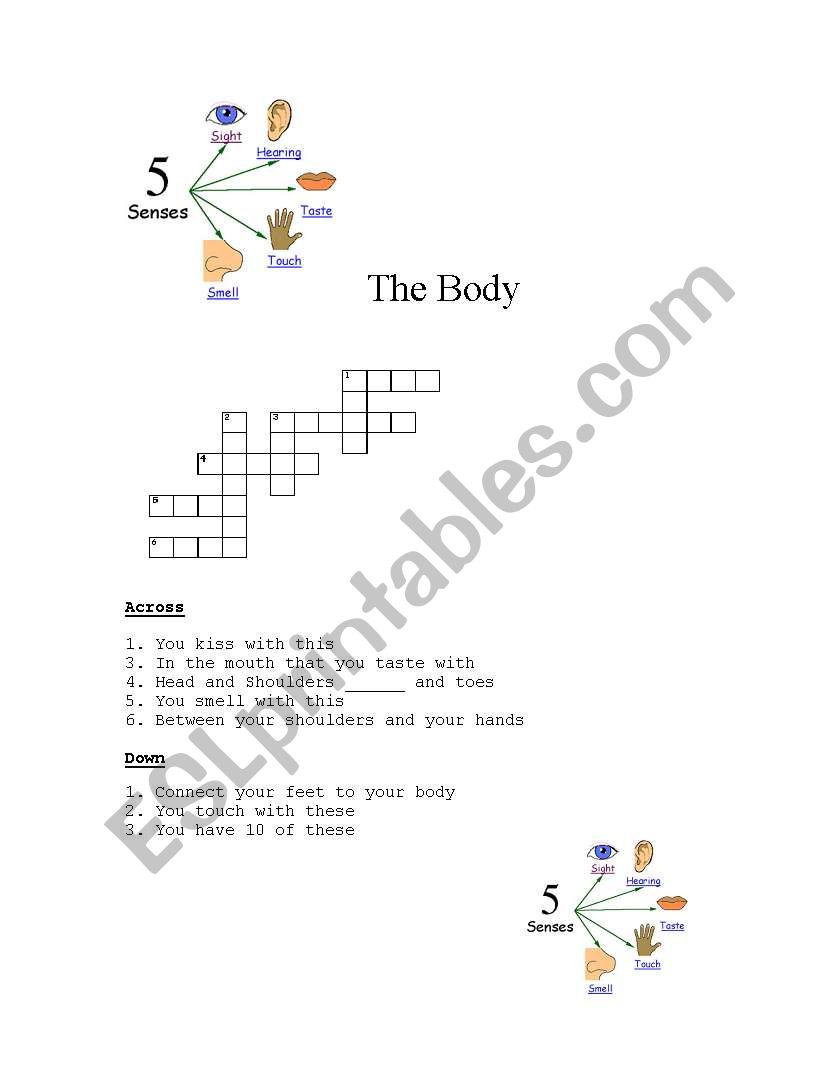 the Body worksheet