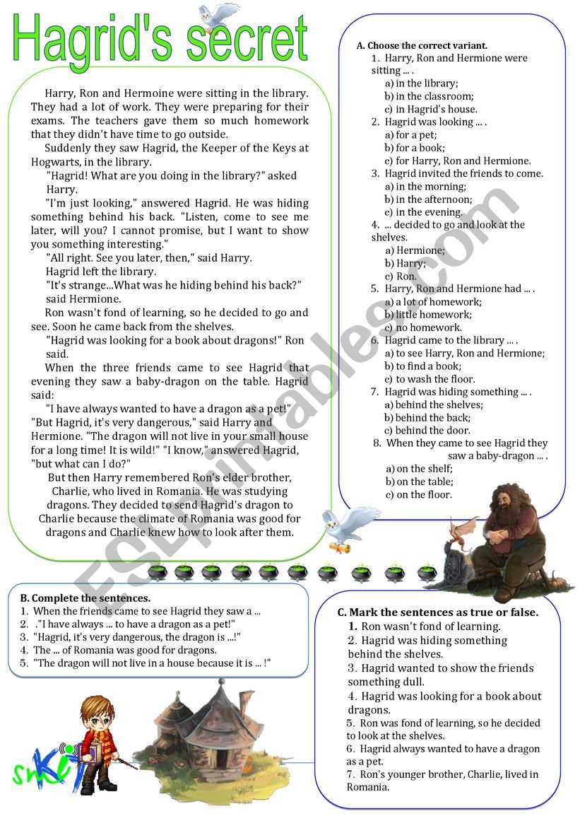 Harry Potter in the library worksheet