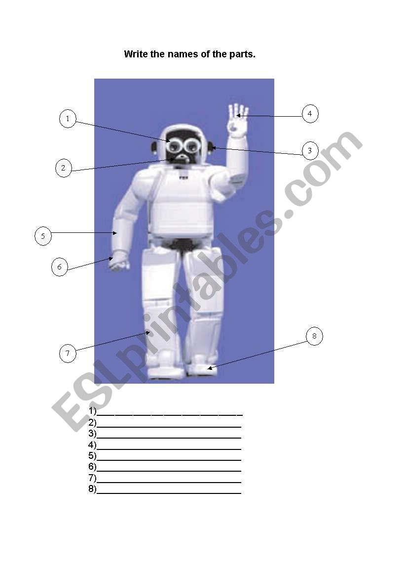 body parts worksheet