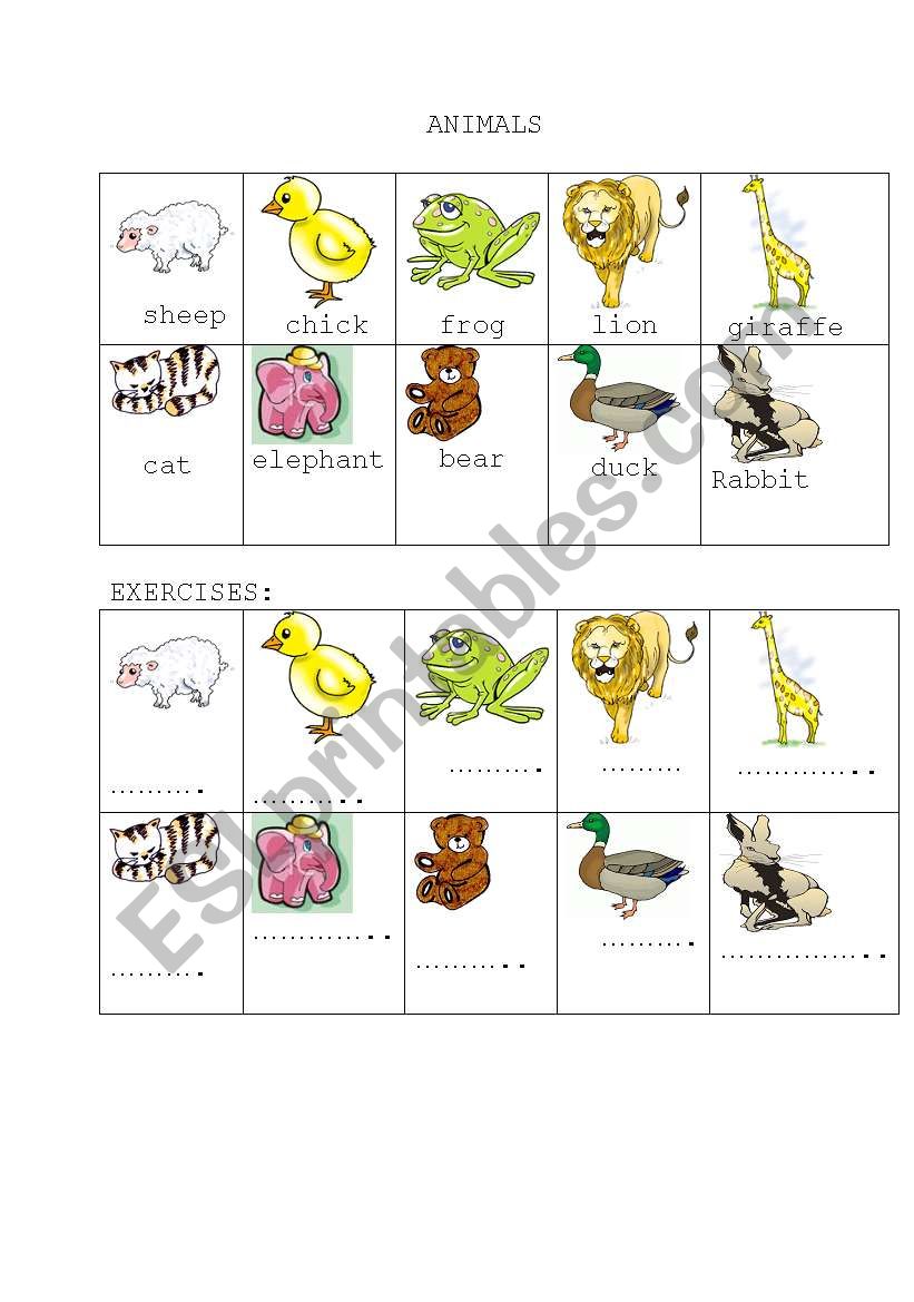 animals worksheet