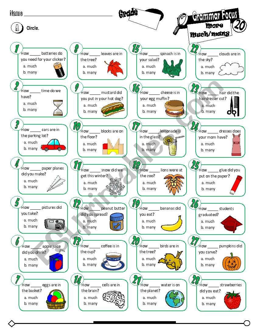 Grammar Focus Series_20 More Much & Many (Fully Editable + Key)