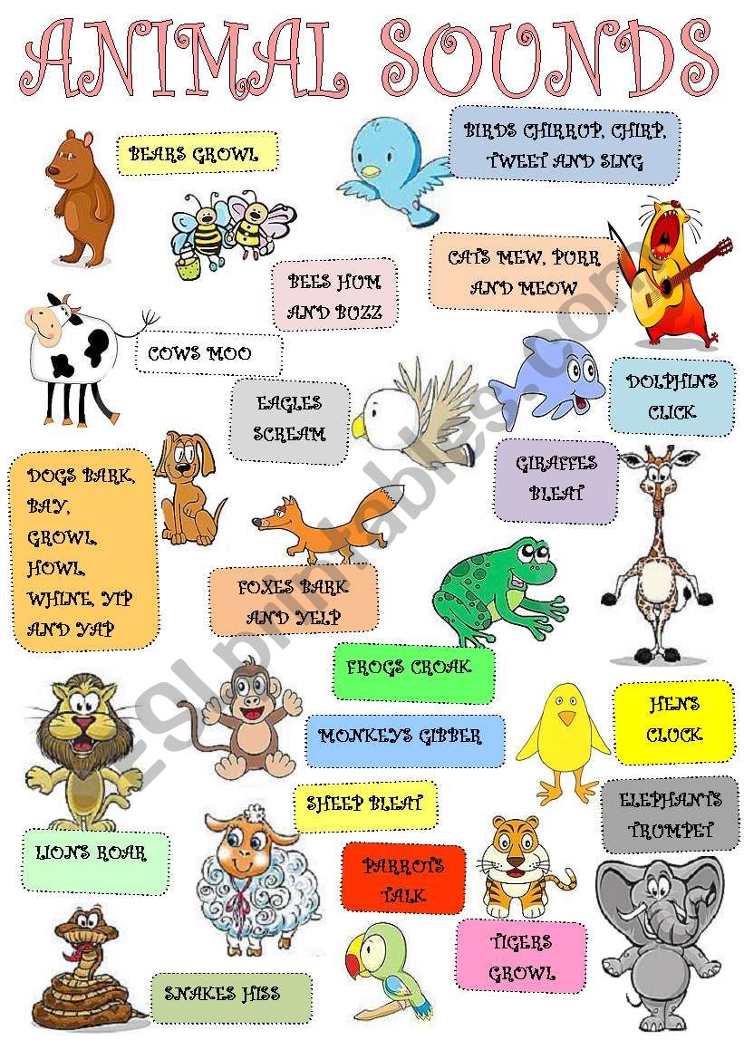 Animal sounds worksheet