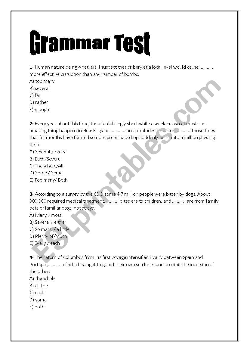 Grammar Test worksheet