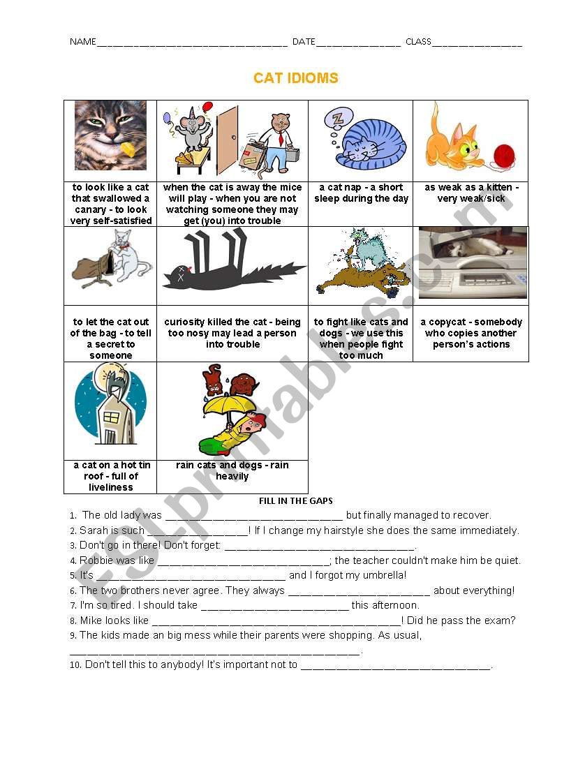 Cat Idioms worksheet