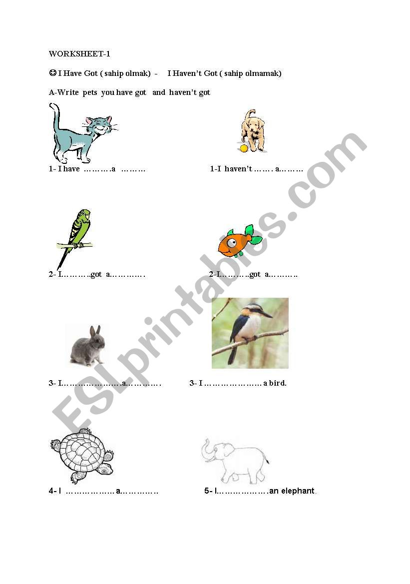 possessives worksheet