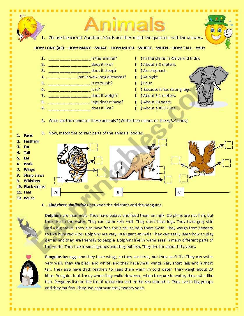 ANIMALS AND THEIR BODY PARTS worksheet