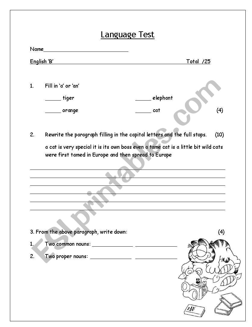 Language Test worksheet