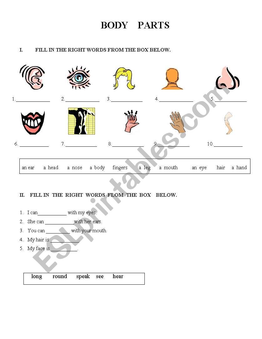 BODY PARTS 1-ST PAGE worksheet